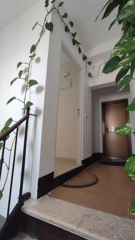 Penthouse In The Center Apartment Cadiz Ngoại thất bức ảnh